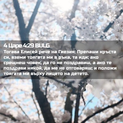 Picture 02 - 4 Царе 4:29 BULG - Тогава Елисей рече на - Bible Verse Picture