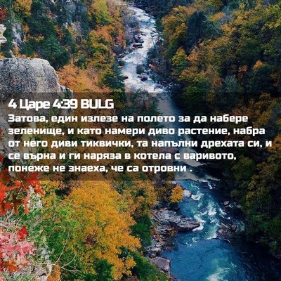 Picture 02 - 4 Царе 4:39 BULG - Затова, един излезе на - Bible Verse Picture
