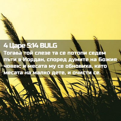 Picture 02 - 4 Царе 5:14 BULG - Тогава той слезе та се - Bible Verse Picture