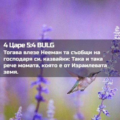 Picture 02 - 4 Царе 5:4 BULG - Тогава влезе Нееман та - Bible Verse Picture