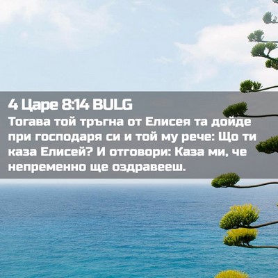 Picture 02 - 4 Царе 8:14 BULG - Тогава той тръгна от - Bible Verse Picture