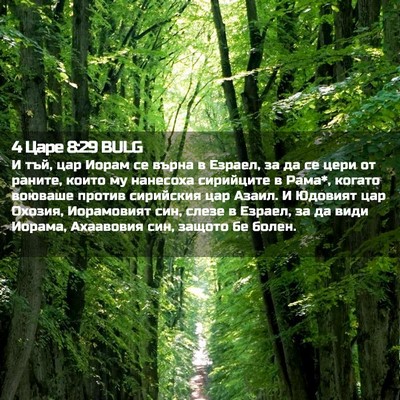 Picture 02 - 4 Царе 8:29 BULG - И тъй, цар Иорам се върна в - Bible Verse Picture