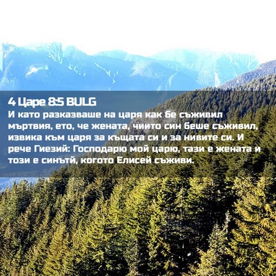 Picture 02 - 4 Царе 8:5 BULG - И като разказваше на царя - Bible Verse Picture