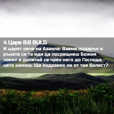 Picture 02 - 4 Царе 8:8 BULG - И царят рече на Азаила: - Bible Verse Picture