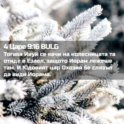 Picture 02 - 4 Царе 9:16 BULG - Тогава Ииуй се качи на - Bible Verse Picture