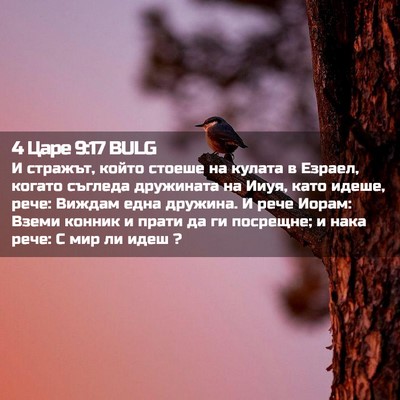 Picture 02 - 4 Царе 9:17 BULG - И стражът, който стоеше на - Bible Verse Picture