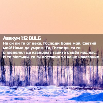 Picture 02 - Авакум 1:12 BULG - Не си ли ти от века, Господи - Bible Verse Picture