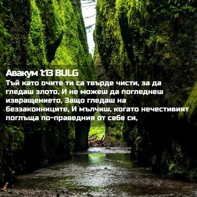 Picture 02 - Авакум 1:13 BULG - Тъй като очите ти са твърде - Bible Verse Picture