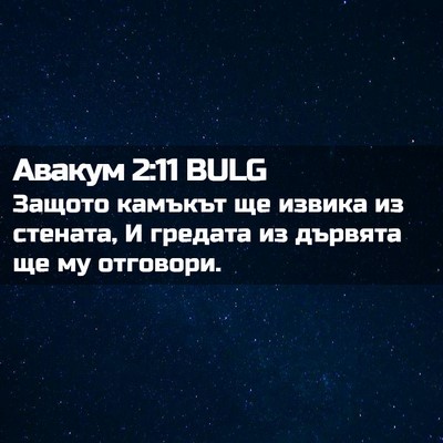 Picture 02 - Авакум 2:11 BULG - Защото камъкът ще извика - Bible Verse Picture