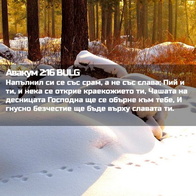 Picture 02 - Авакум 2:16 BULG - Напълнил си се със срам, а - Bible Verse Picture