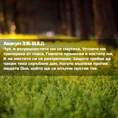 Picture 02 - Авакум 3:16 BULG - Чух, и вътрешностите ми се - Bible Verse Picture