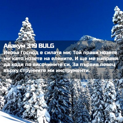 Picture 02 - Авакум 3:19 BULG - Иеова Господ е силата ми; - Bible Verse Picture
