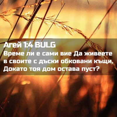 Picture 02 - Агей 1:4 BULG - Време ли е сами вие Да - Bible Verse Picture