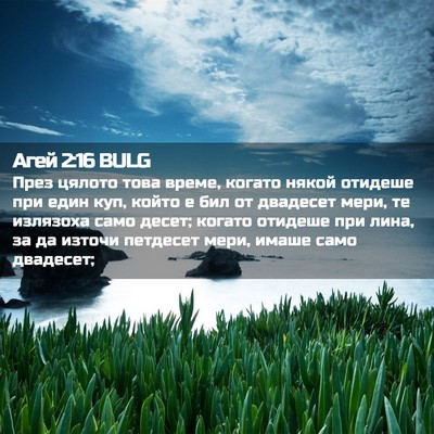 Picture 02 - Агей 2:16 BULG - През цялото това време, - Bible Verse Picture