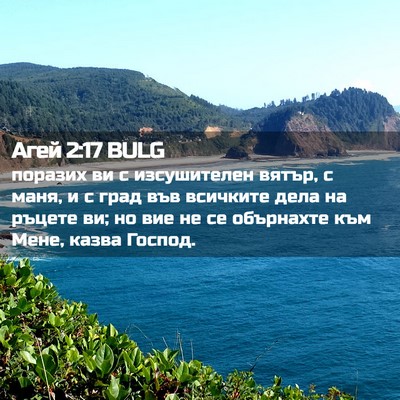 Picture 02 - Агей 2:17 BULG - поразих ви с изсушителен - Bible Verse Picture
