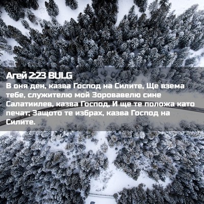 Picture 02 - Агей 2:23 BULG - В оня ден, казва Господ на - Bible Verse Picture