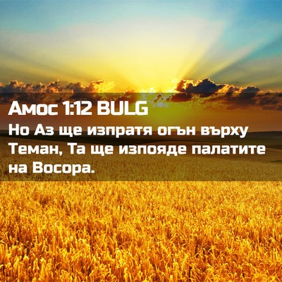 Picture 02 - Амос 1:12 BULG - Но Аз ще изпратя огън върху - Bible Verse Picture