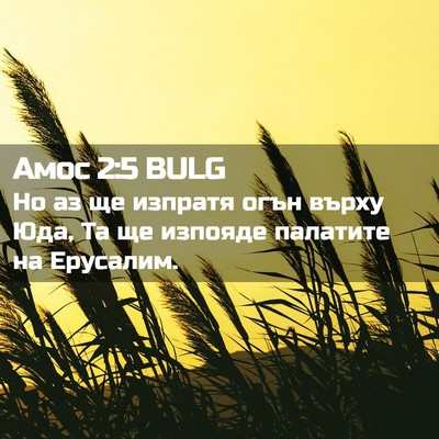 Picture 02 - Амос 2:5 BULG - Но аз ще изпратя огън върху - Bible Verse Picture