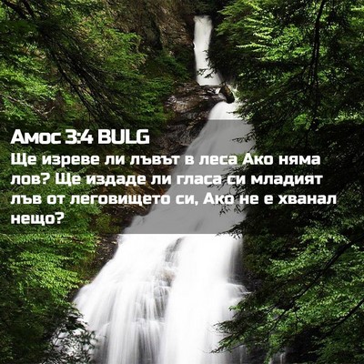 Picture 02 - Амос 3:4 BULG - Ще изреве ли лъвът в леса - Bible Verse Picture