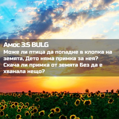 Picture 02 - Амос 3:5 BULG - Може ли птица да попадне в - Bible Verse Picture
