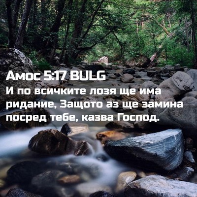 Picture 02 - Амос 5:17 BULG - И по всичките лозя ще има - Bible Verse Picture