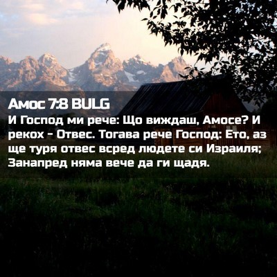 Picture 02 - Амос 7:8 BULG - И Господ ми рече: Що виждаш, - Bible Verse Picture