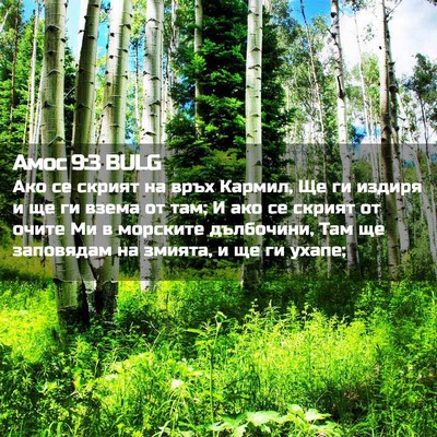 Picture 02 - Амос 9:3 BULG - Ако се скрият на връх - Bible Verse Picture