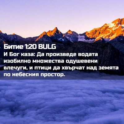 Picture 02 - Битие 1:20 BULG - И Бог каза: Да произведе - Bible Verse Picture