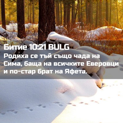 Picture 02 - Битие 10:21 BULG - Родиха се тъй също чада на - Bible Verse Picture