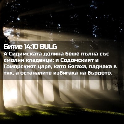 Picture 02 - Битие 14:10 BULG - А Сидимската долина беше - Bible Verse Picture