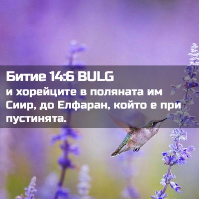 Picture 02 - Битие 14:6 BULG - и хорейците в поляната им - Bible Verse Picture