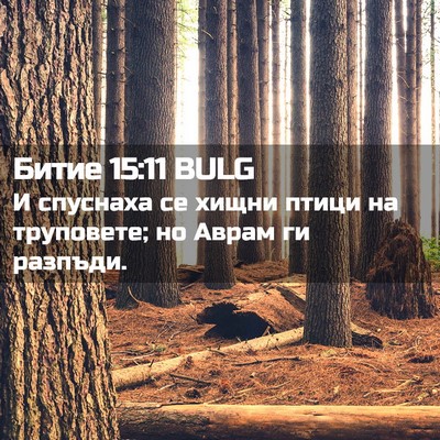 Picture 02 - Битие 15:11 BULG - И спуснаха се хищни птици - Bible Verse Picture