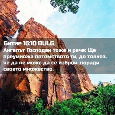 Picture 02 - Битие 16:10 BULG - Ангелът Господен тоже и - Bible Verse Picture