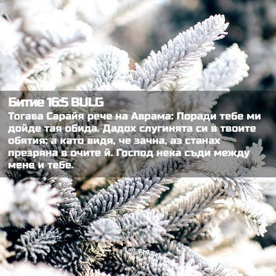 Picture 02 - Битие 16:5 BULG - Тогава Сарайя рече на - Bible Verse Picture