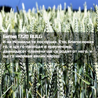 Picture 02 - Битие 17:20 BULG - И за Исмаила те послушах. - Bible Verse Picture