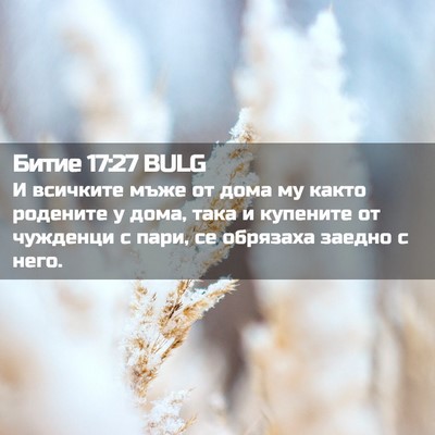 Picture 02 - Битие 17:27 BULG - И всичките мъже от дома му - Bible Verse Picture