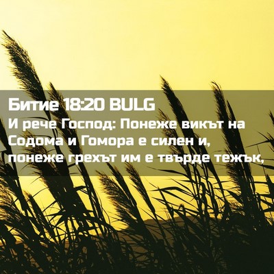 Picture 02 - Битие 18:20 BULG - И рече Господ: Понеже викът - Bible Verse Picture