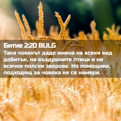 Picture 02 - Битие 2:20 BULG - Така човекът даде имена на - Bible Verse Picture