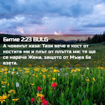 Picture 02 - Битие 2:23 BULG - А човекът каза: Тази вече е - Bible Verse Picture
