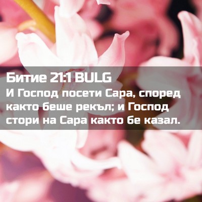 Picture 02 - Битие 21:1 BULG - И Господ посети Сара, - Bible Verse Picture