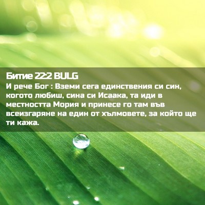 Picture 02 - Битие 22:2 BULG - И рече Бог : Вземи сега - Bible Verse Picture