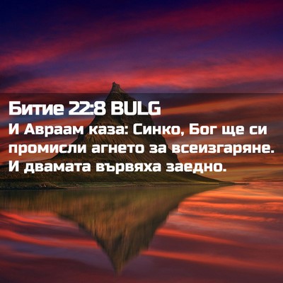 Picture 02 - Битие 22:8 BULG - И Авраам каза: Синко, Бог ще - Bible Verse Picture