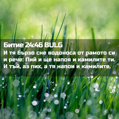 Picture 02 - Битие 24:46 BULG - И тя бързо сне водоноса от - Bible Verse Picture