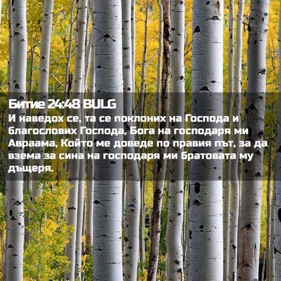 Picture 02 - Битие 24:48 BULG - И наведох се, та се - Bible Verse Picture