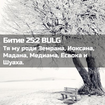 Picture 02 - Битие 25:2 BULG - Тя му роди Земрана, - Bible Verse Picture