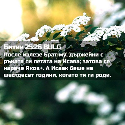 Picture 02 - Битие 25:26 BULG - После излезе брат му, - Bible Verse Picture