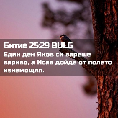 Picture 02 - Битие 25:29 BULG - Един ден Яков си вареше - Bible Verse Picture