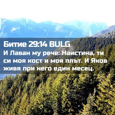 Picture 02 - Битие 29:14 BULG - И Лаван му рече: Наистина, - Bible Verse Picture