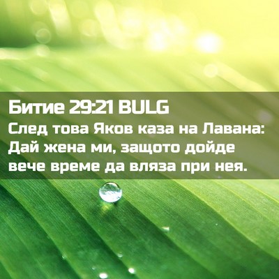 Picture 02 - Битие 29:21 BULG - След това Яков каза на - Bible Verse Picture