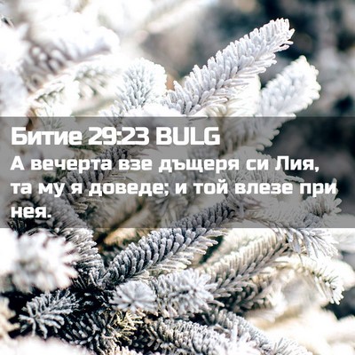 Picture 02 - Битие 29:23 BULG - А вечерта взе дъщеря си - Bible Verse Picture